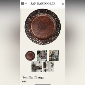 Jan Barboglio Charger